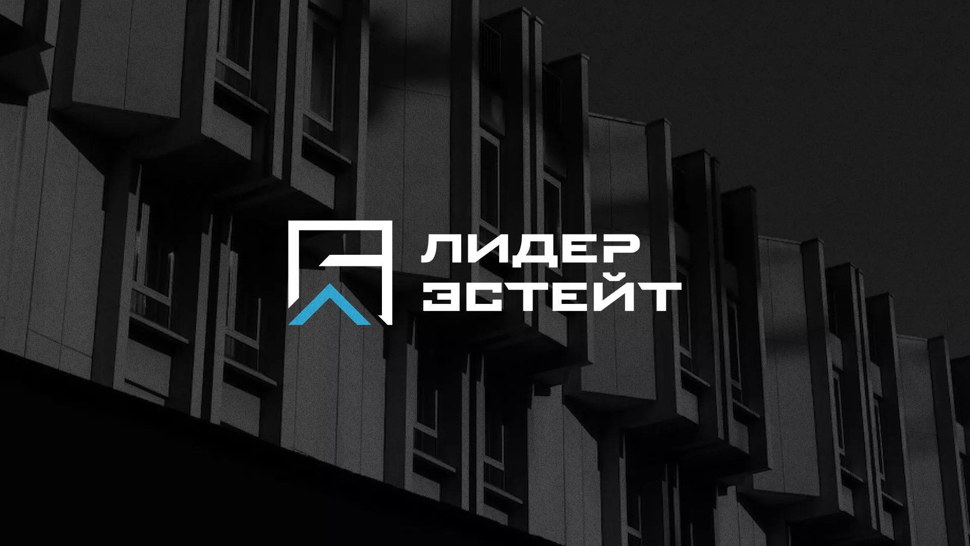 Разработка логотипа агентства недвижимости «Лидер Эстейт» в Харовске
